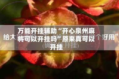 万能开挂辅助“开心泉州麻将可以开挂吗”原来真可以开挂-第2张图片