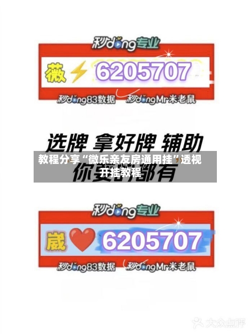 教程分享“微乐亲友房通用挂”透视开挂教程-第1张图片