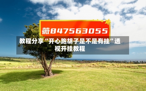 教程分享“开心跑胡子是不是有挂	”透视开挂教程-第2张图片