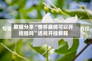 教程分享“情怀麻将可以开挂挂吗”透视开挂教程-第2张图片