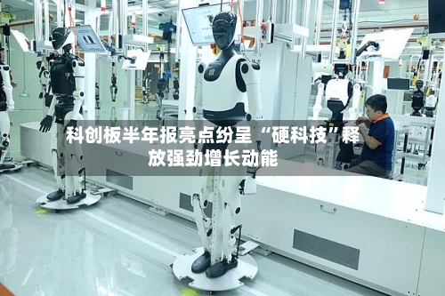 科创板半年报亮点纷呈 “硬科技”释放强劲增长动能-第2张图片