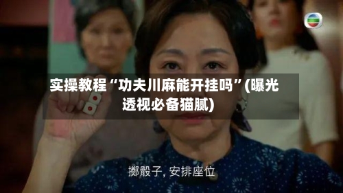 实操教程“功夫川麻能开挂吗”(曝光透视必备猫腻)-第2张图片