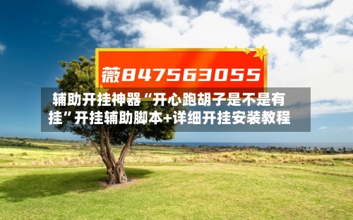 辅助开挂神器“开心跑胡子是不是有挂	”开挂辅助脚本+详细开挂安装教程-第2张图片