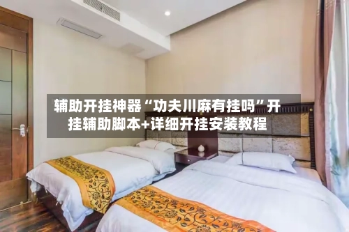 辅助开挂神器“功夫川麻有挂吗”开挂辅助脚本+详细开挂安装教程-第2张图片