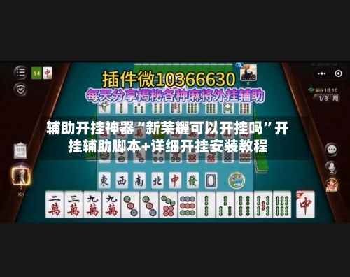 辅助开挂神器“新荣耀可以开挂吗”开挂辅助脚本+详细开挂安装教程-第2张图片
