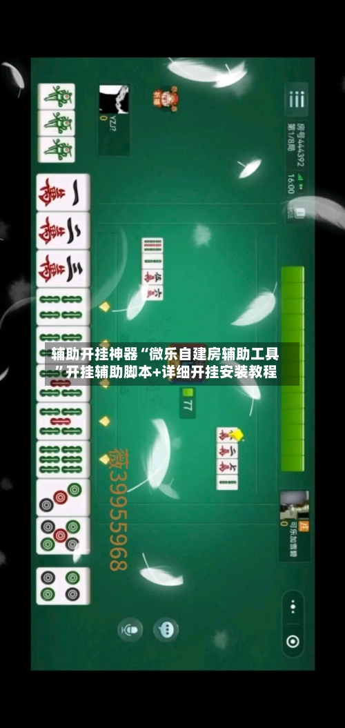 辅助开挂神器“微乐自建房辅助工具	”开挂辅助脚本+详细开挂安装教程-第2张图片