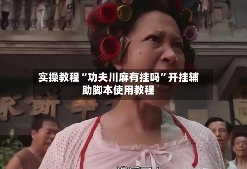 实操教程“功夫川麻有挂吗	”开挂辅助脚本使用教程-第2张图片