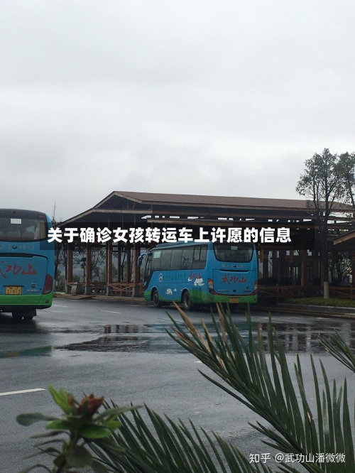 关于确诊女孩转运车上许愿的信息