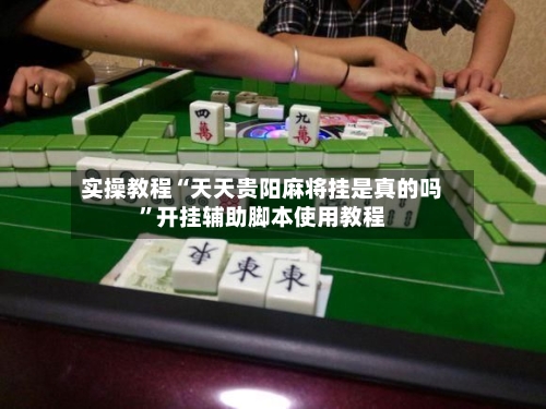实操教程“天天贵阳麻将挂是真的吗”开挂辅助脚本使用教程-第2张图片