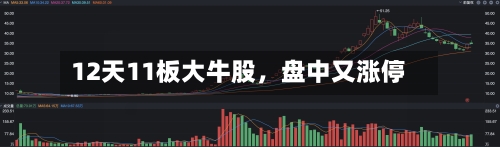 12天11板大牛股	，盘中又涨停-第2张图片