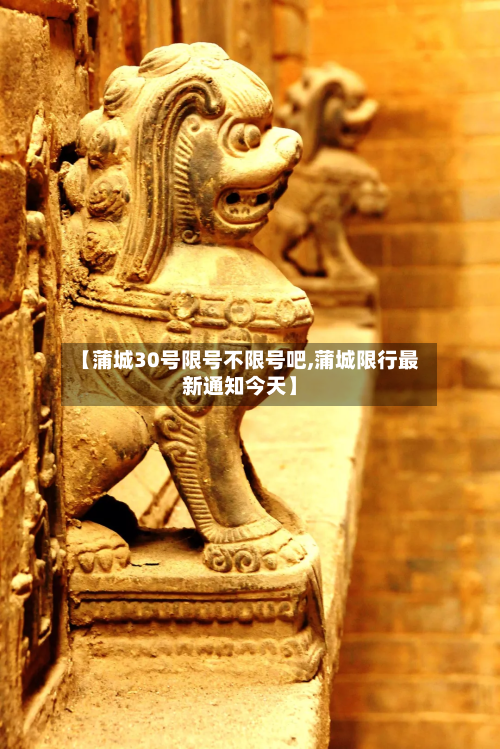 【蒲城30号限号不限号吧,蒲城限行最新通知今天】-第2张图片