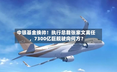 中银基金换帅！执行总裁张家文离任，7300亿巨舰驶向何方？-第3张图片