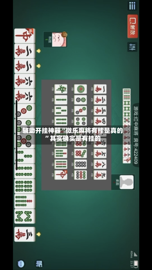 辅助开挂神器“微乐麻将有挂是真的”其实确实是有挂的-第1张图片