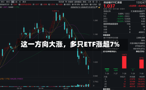 这一方向大涨，多只ETF涨超7%-第3张图片