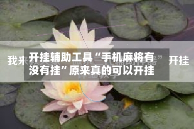 开挂辅助工具“手机麻将有没有挂”原来真的可以开挂-第3张图片