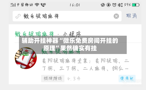 辅助开挂神器“微乐免费房间开挂的原理”果然确实有挂-第2张图片