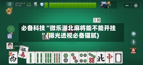 必备科技“微乐湖北麻将能不能开挂”(曝光透视必备猫腻)-第2张图片