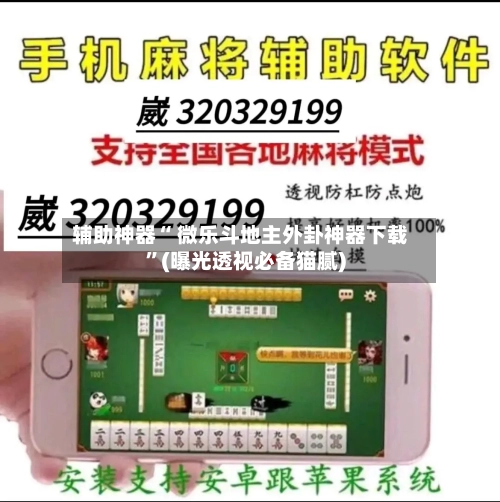 辅助神器“ 微乐斗地主外卦神器下载	”(曝光透视必备猫腻)-第2张图片