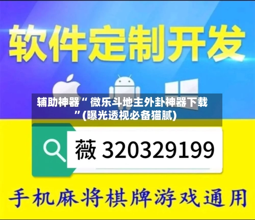 辅助神器“ 微乐斗地主外卦神器下载”(曝光透视必备猫腻)-第3张图片