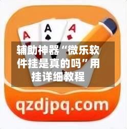 辅助神器“微乐软件挂是真的吗	”用挂详细教程-第1张图片