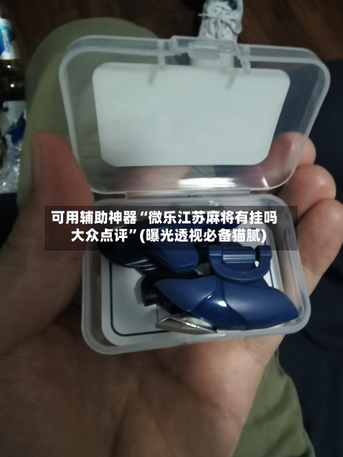可用辅助神器“微乐江苏麻将有挂吗大众点评”(曝光透视必备猫腻)-第3张图片