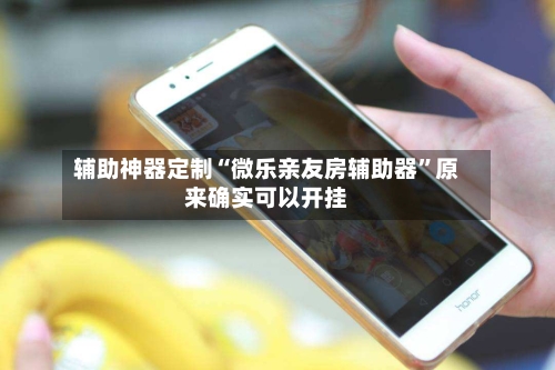 辅助神器定制“微乐亲友房辅助器”原来确实可以开挂-第2张图片