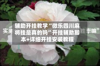 辅助开挂教学“微乐四川麻将挂是真的吗	”开挂辅助脚本+详细开挂安装教程-第2张图片