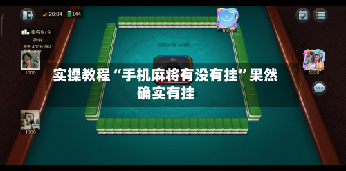 实操教程“手机麻将有没有挂”果然确实有挂-第3张图片
