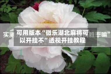 可用版本“微乐湖北麻将可以开挂不	”透视开挂教程-第2张图片