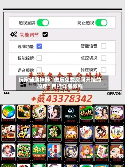 玩家辅助神器“微乐免费房间开挂的原理”用挂详细教程-第3张图片