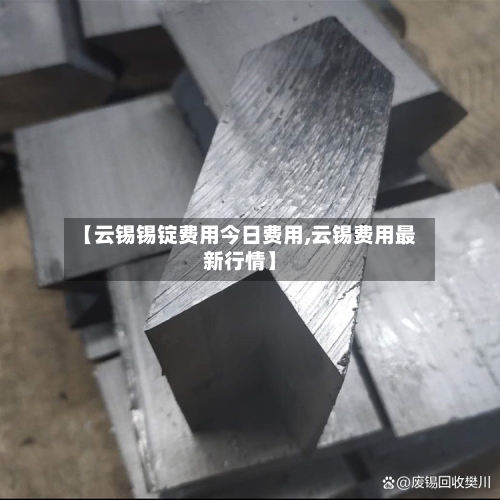 【云锡锡锭费用今日费用,云锡费用最新行情】