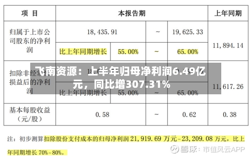 飞南资源：上半年归母净利润6.49亿元	，同比增307.31%-第2张图片
