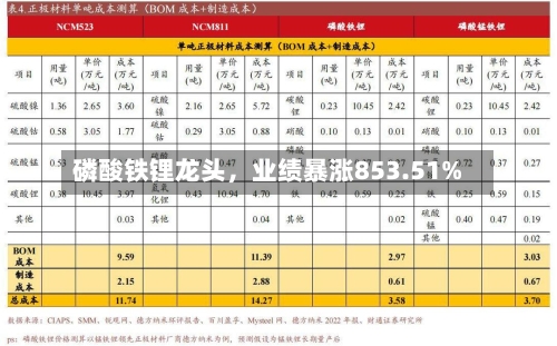 磷酸铁锂龙头	，业绩暴涨853.51%-第2张图片