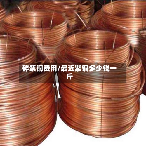 碎紫铜费用/最近紫铜多少钱一斤