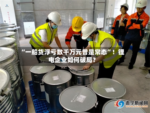 “一船货浮亏数千万元曾是常态”！锂电企业如何破局？-第2张图片