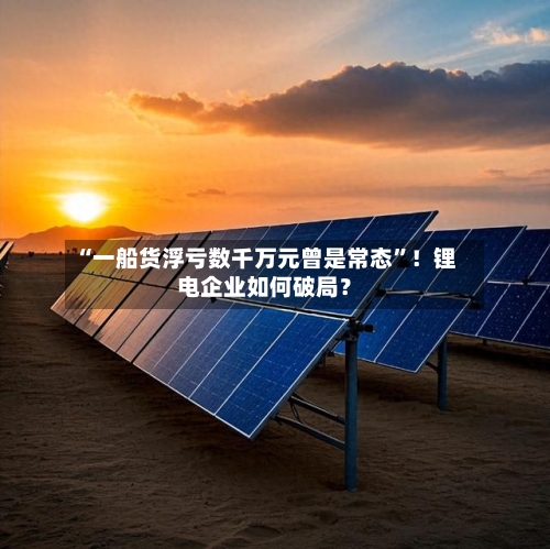 “一船货浮亏数千万元曾是常态	”！锂电企业如何破局？-第3张图片