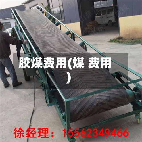 胶煤费用(煤 费用)
