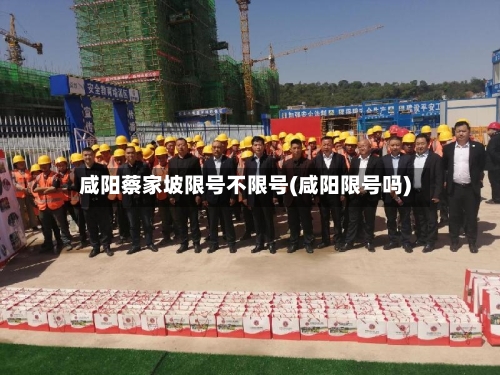 咸阳蔡家坡限号不限号(咸阳限号吗)