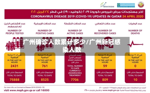 广州确诊人数累计多少/广州新冠感染人数