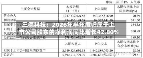 三德科技：2026年半年度归属于上市公司股东的净利润同比增长42.80%-第2张图片