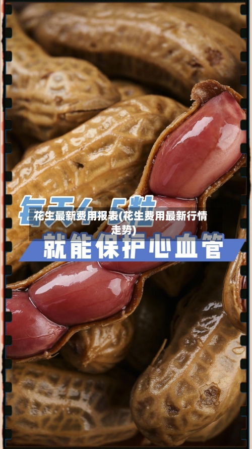花生最新费用报表(花生费用最新行情走势)-第2张图片