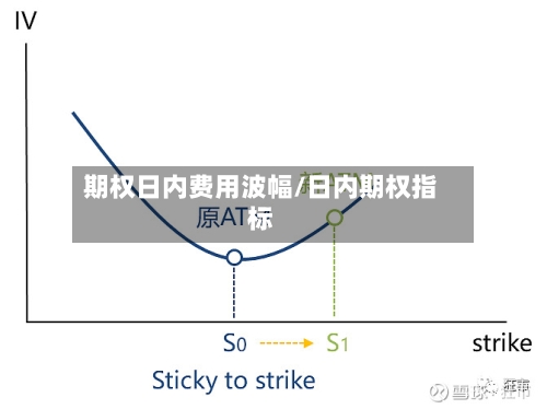 期权日内费用波幅/日内期权指标