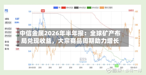 中信金属2026年半年报：全球矿产布局兑现收益	，大宗商品周期助力增长-第1张图片