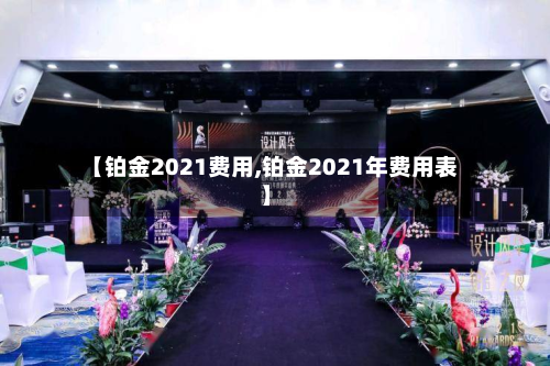 【铂金2021费用,铂金2021年费用表】-第2张图片
