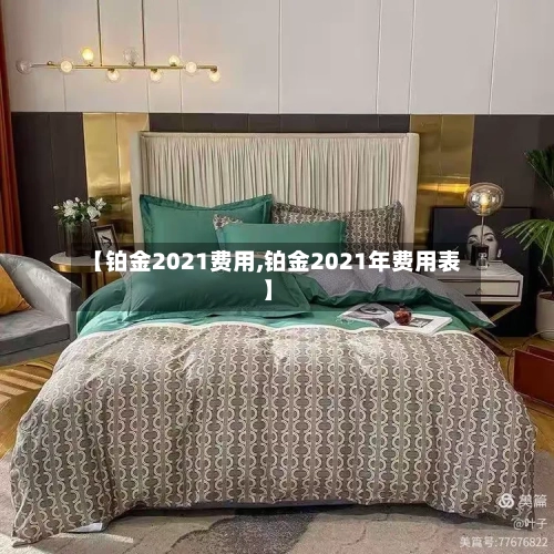 【铂金2021费用,铂金2021年费用表】-第3张图片