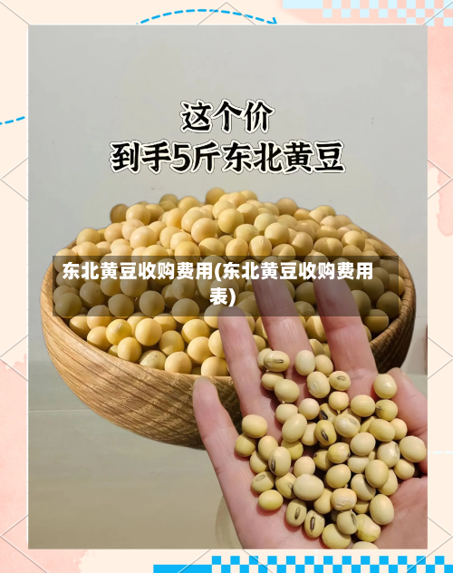 东北黄豆收购费用(东北黄豆收购费用表)-第2张图片