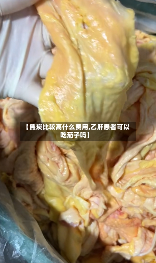 【焦炭比较高什么费用,乙肝患者可以吃茄子吗】-第2张图片