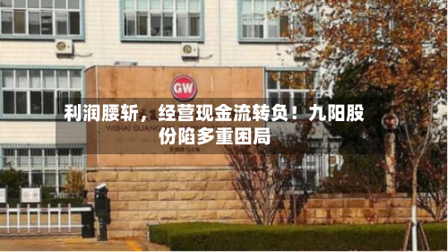 利润腰斩，经营现金流转负！九阳股份陷多重困局-第3张图片