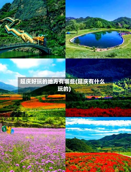 延庆好玩的地方有哪些(延庆有什么玩的)