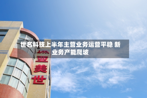 世名科技上半年主营业务运营平稳 新业务产能爬坡-第2张图片